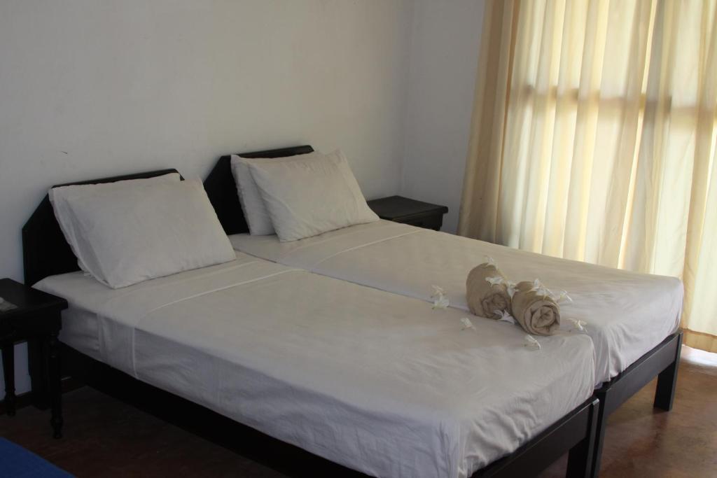 Ceylonica Beach Hotel Negombo Exterior foto