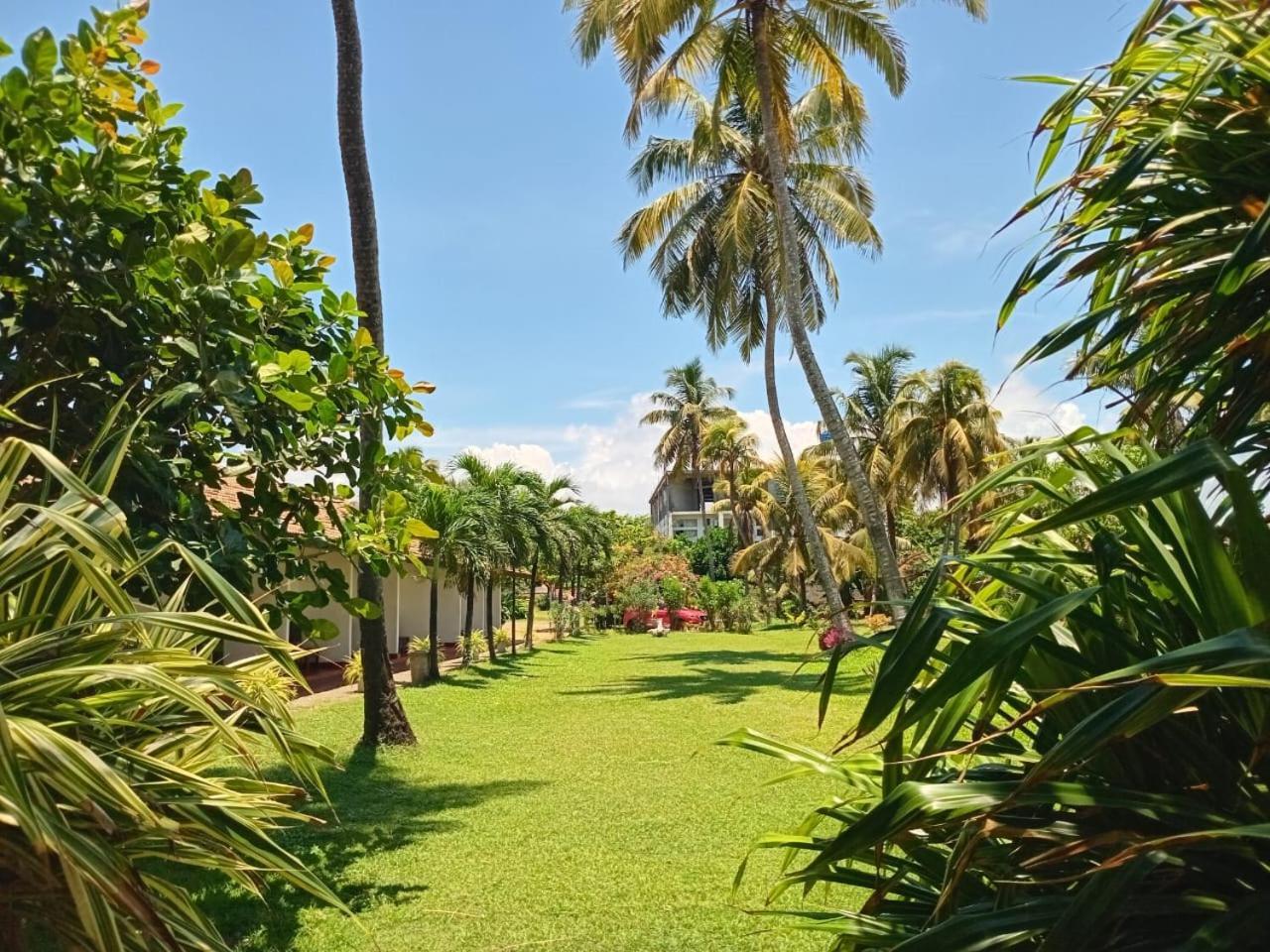 Ceylonica Beach Hotel Negombo Exterior foto